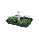 green basics anzucht unterlage 59cm laubgrün